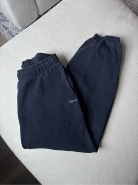 Aritzia TNA Mega Sweatpant